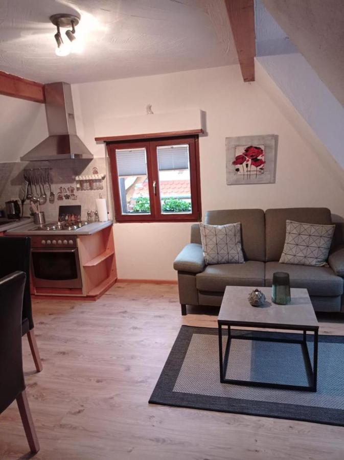 Gaestehaus Ehrhardt Schweigen-Rechtenbach Exteriör bild